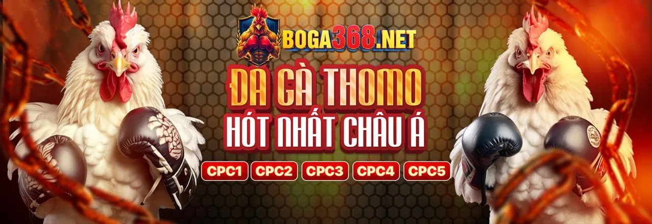 Các phương thức nạp và rút tiền an toàn tại sm66 casino